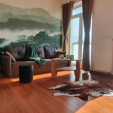 Apartman S Wellness Apartment Karlovy Vary Exterior foto