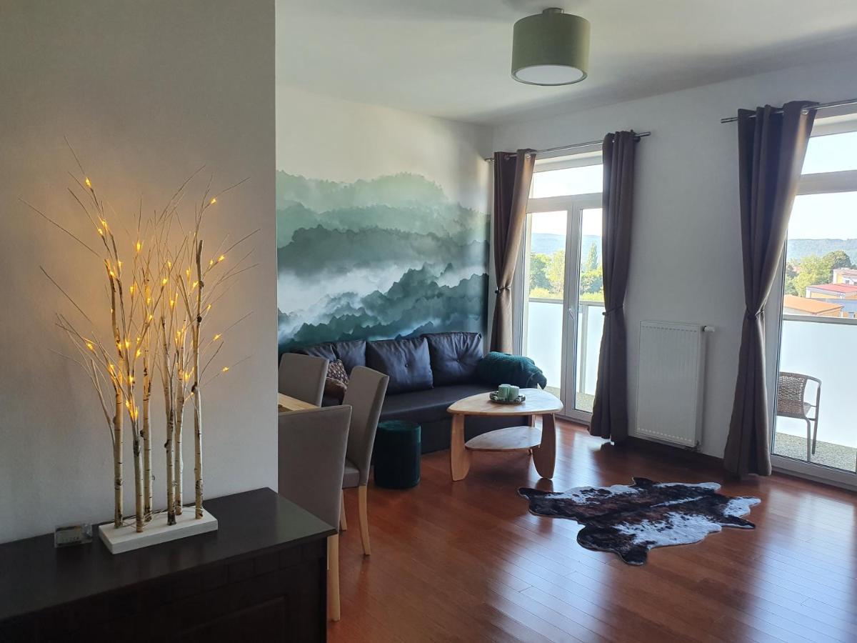 Apartman S Wellness Apartment Karlovy Vary Exterior foto